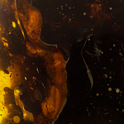 170 g Amber Nugget (3)