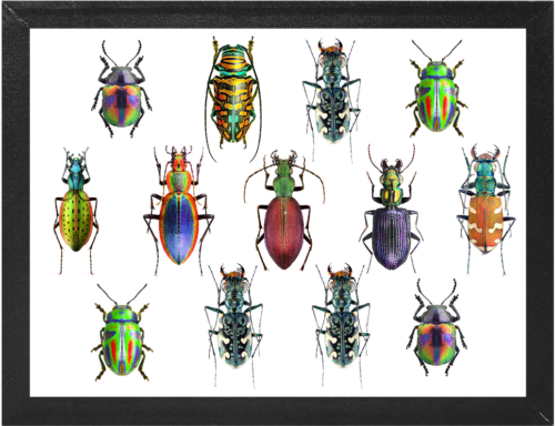 Коробка для экспонирования (2)
