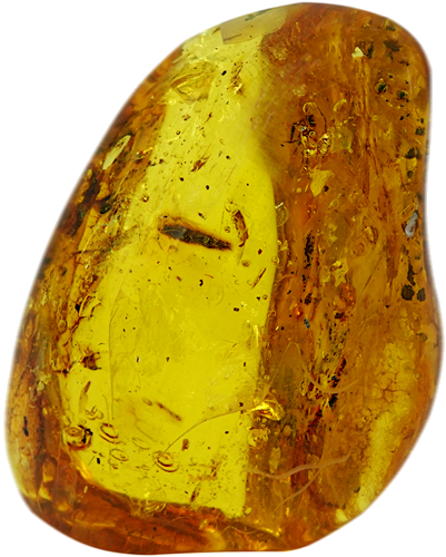 41,05 g Amber Nugget with inclusion (5)