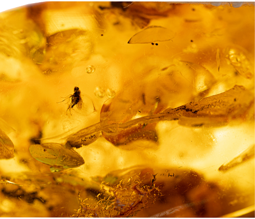 12 g Amber Nugget with inclusion (2)