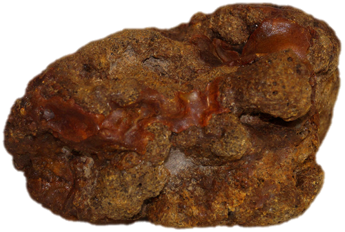 584 g Amber Nugget (3)