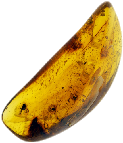 2,90 гр. Самороден кехлибар с фосил (1)