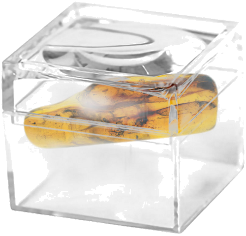 5,85 g Amber Nugget with inclusions (2)