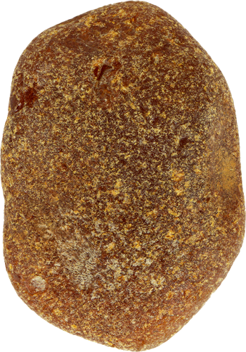 8,90 g Jūrinio Gintaro grynuolis (1)