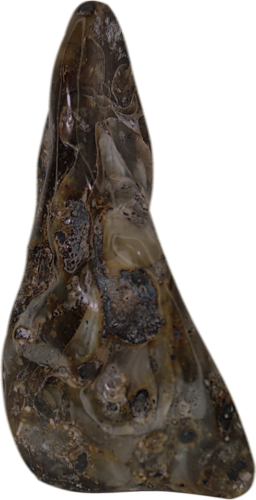 35,90 g Pilkasis gintaro grynuolis (1)