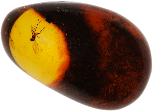 2,20 g Amber Nugget with inclusion (1)