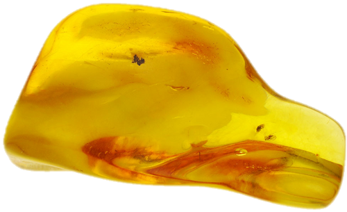 20,35 g Amber Nugget with inclusion (3)