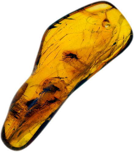 2,30 g Amber Nugget with inclusions (1)