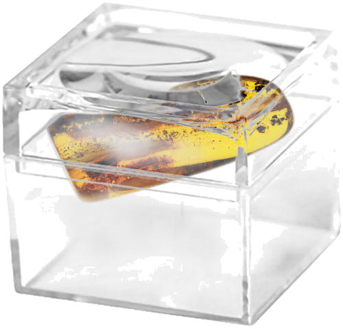 3,85 гр. Самороден кехлибар с фосил (2)