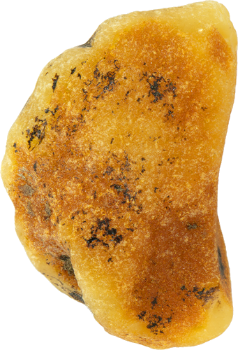 11.40 g Sea Amber Nugget (3)