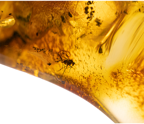 20,70 гр. Самороден кехлибар с фосил (2)