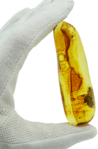 40,05 g Amber Nugget with inclusion (1)