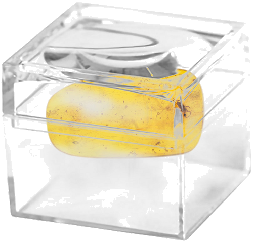 1,75 g Amber Nugget with inclusion (2)