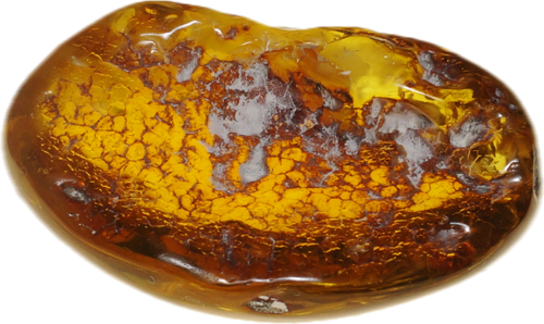 11,25 g Amber Nugget (2)