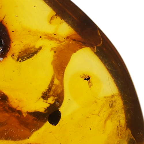 22,70 g Gintaro grynuolis su inkliuzais ir natūralia skyle (3)