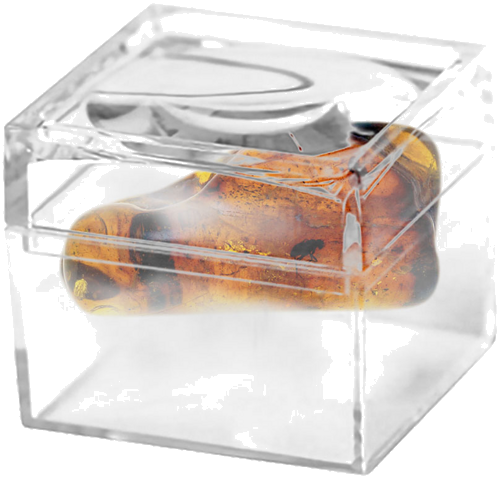 4,55 g Amber Nugget with inclusion (2)