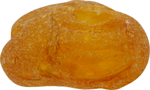 7,55 g Jūrinio Gintaro grynuolis (3)