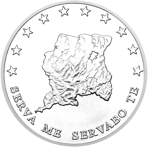 1 oz Grynuolis 2013 Surinamas sidabrinė moneta (1)