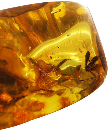 24,75 g  Amber Nugget with inclusion (2)