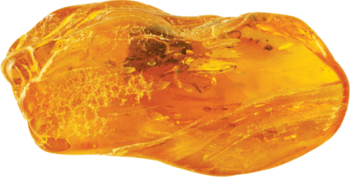 13,75 g Amber Nugget with inclusion (4)