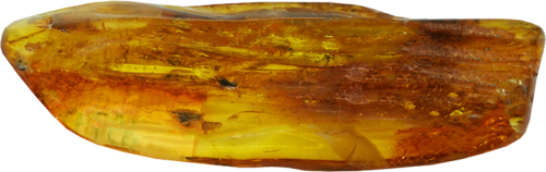 14,80 g Amber Nugget with inclusion (3)