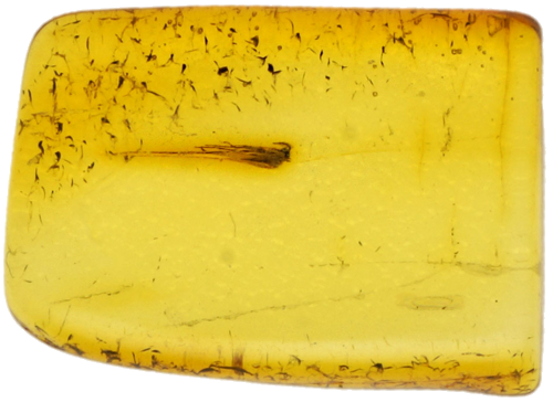 0,65 g Amber Nugget with inclusion (1)