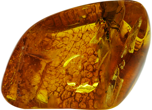 9 g Amber Nugget with inclusion (1)