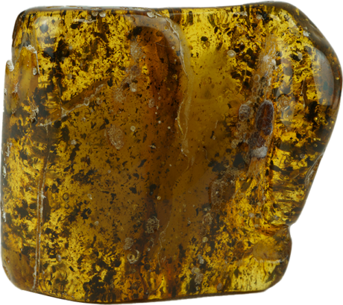 20,95 g Amber nugget (1)