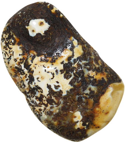 9,55 g Amber Nugget (1)