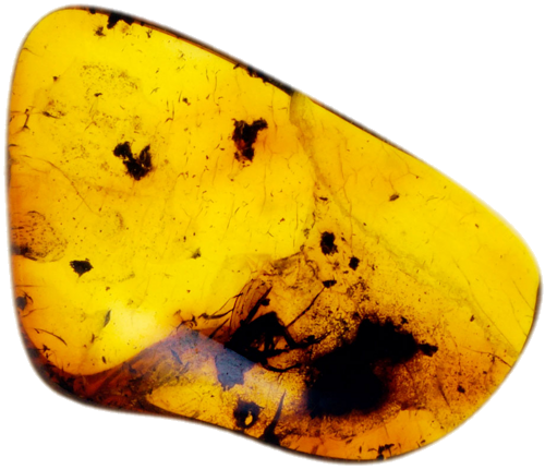 0,80 g Amber Nugget with inclusion (1)