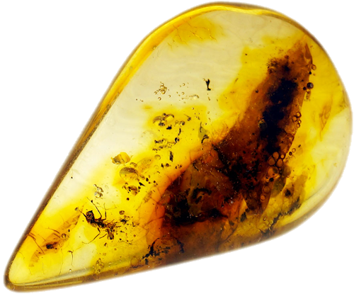 3,75 g Amber Nugget with inclusion (2)