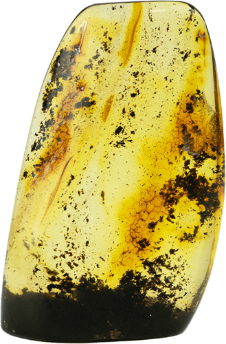 13,35 g Amber nugget (4)