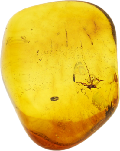 0,65 g Amber Nugget with inclusion (1)