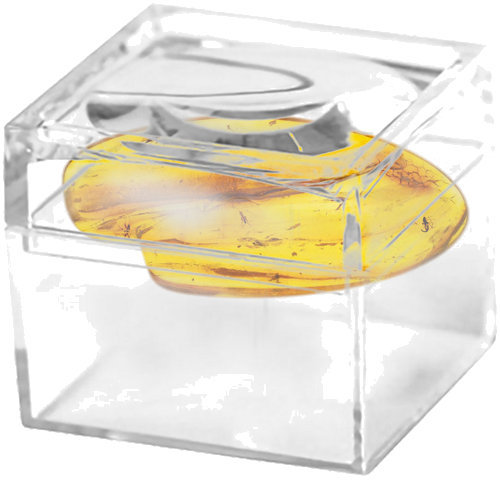 2,95 g Amber Nugget with inclusions (2)