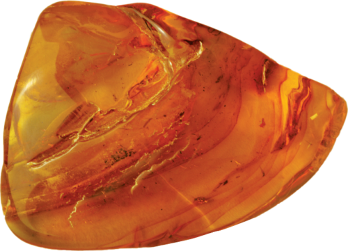 18,20 g Amber Nugget with inclusion (1)