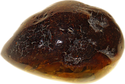 32,20 g  Amber Nugget (3)