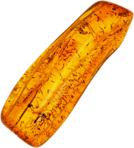 Самородок янтаря с инклюзом 1,30 г (1)