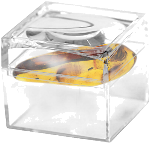 4,35 g Amber Nugget with inclusion (2)