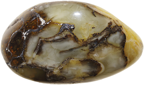 18,20 g Amber nugget (1)