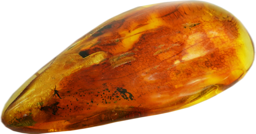 14,95 g Amber Nugget with inclusion (3)