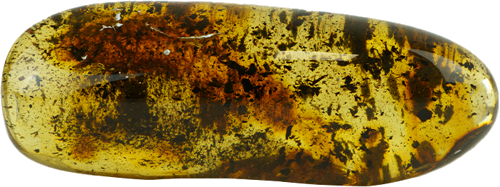 16,80 g Amber nugget (1)