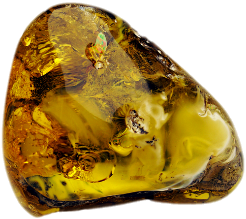 20.25 g Amber Nugget (5)