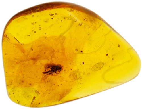 2,45 g Amber Nugget with inclusion (1)