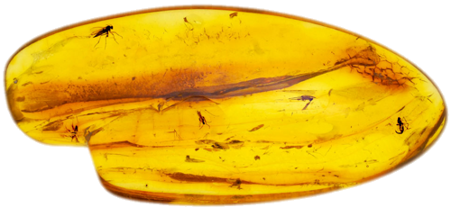 2,95 g Gintaro grynuolis su inkliuzais (1)