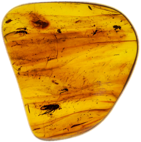2,45 g Amber Nugget with inclusions (1)