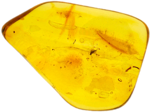 2,85 g Amber Nugget with inclusion (1)