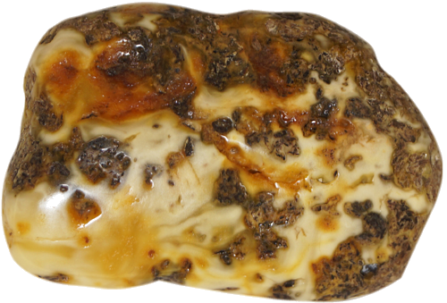 9,75 g Gintaro grynuolis (1)