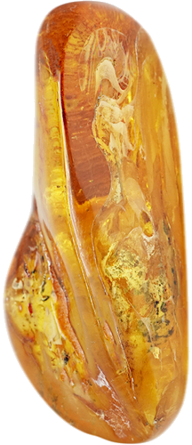 Самородок янтаря с инклюзом 42,55 г (1)