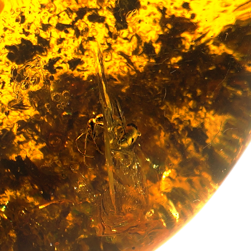 32,95 g Amber Nugget with inclusion (1)