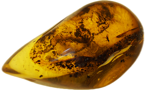 14,75 g Amber Nugget with inclusion (1)